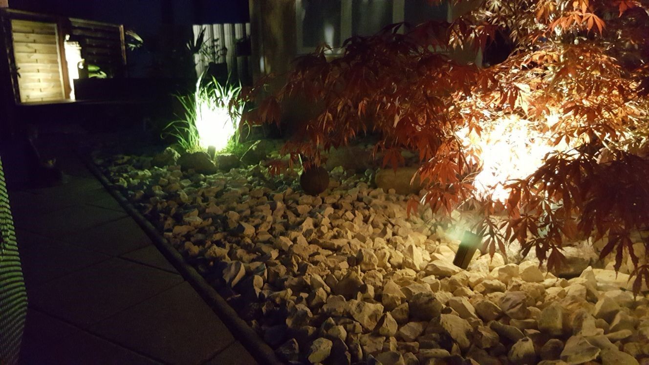 Ein Garten mit Felsen und Bäumen ist nachts beleuchtet.