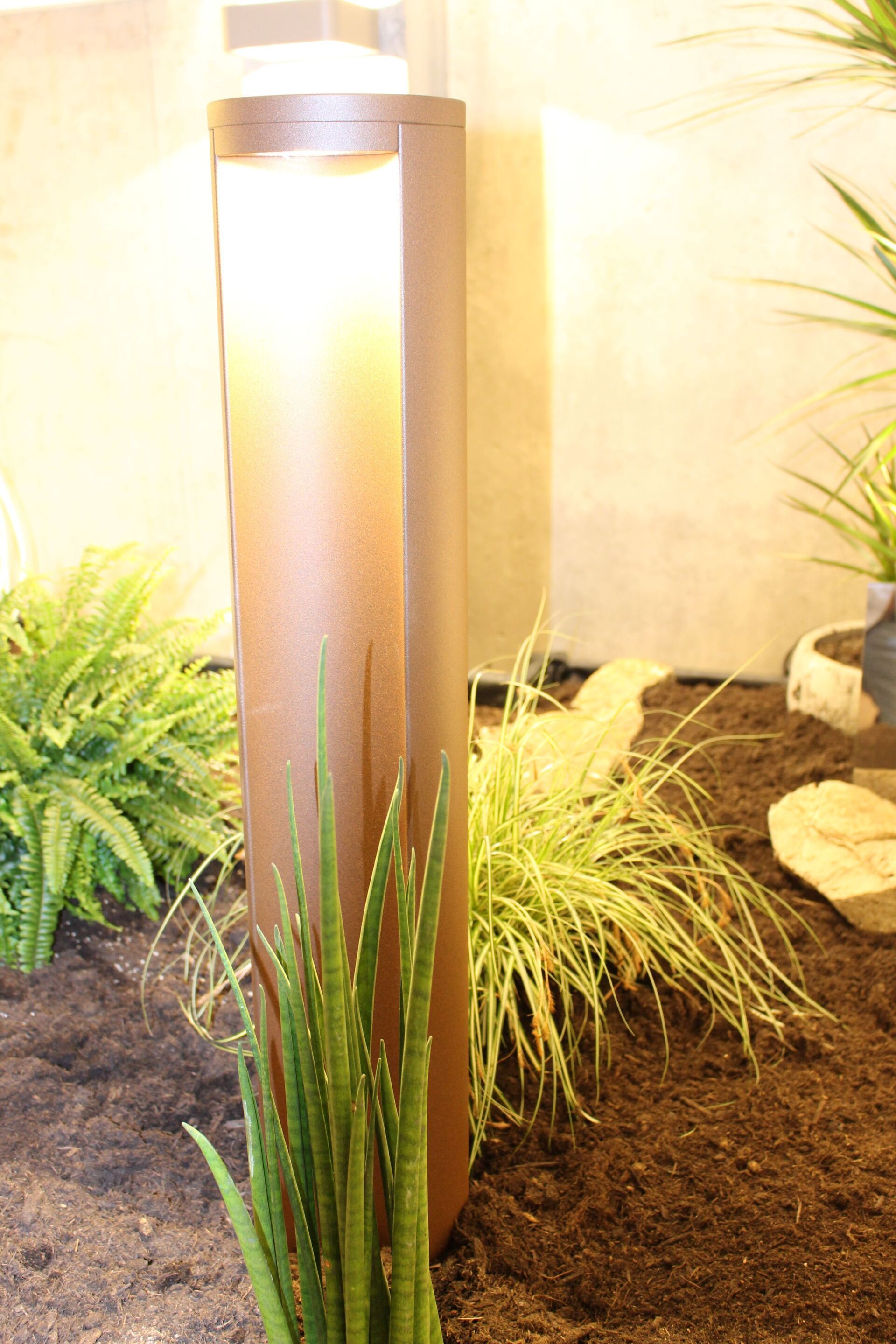 Eine Lampe steht inmitten eines von Pflanzen umgebenen Gartens.