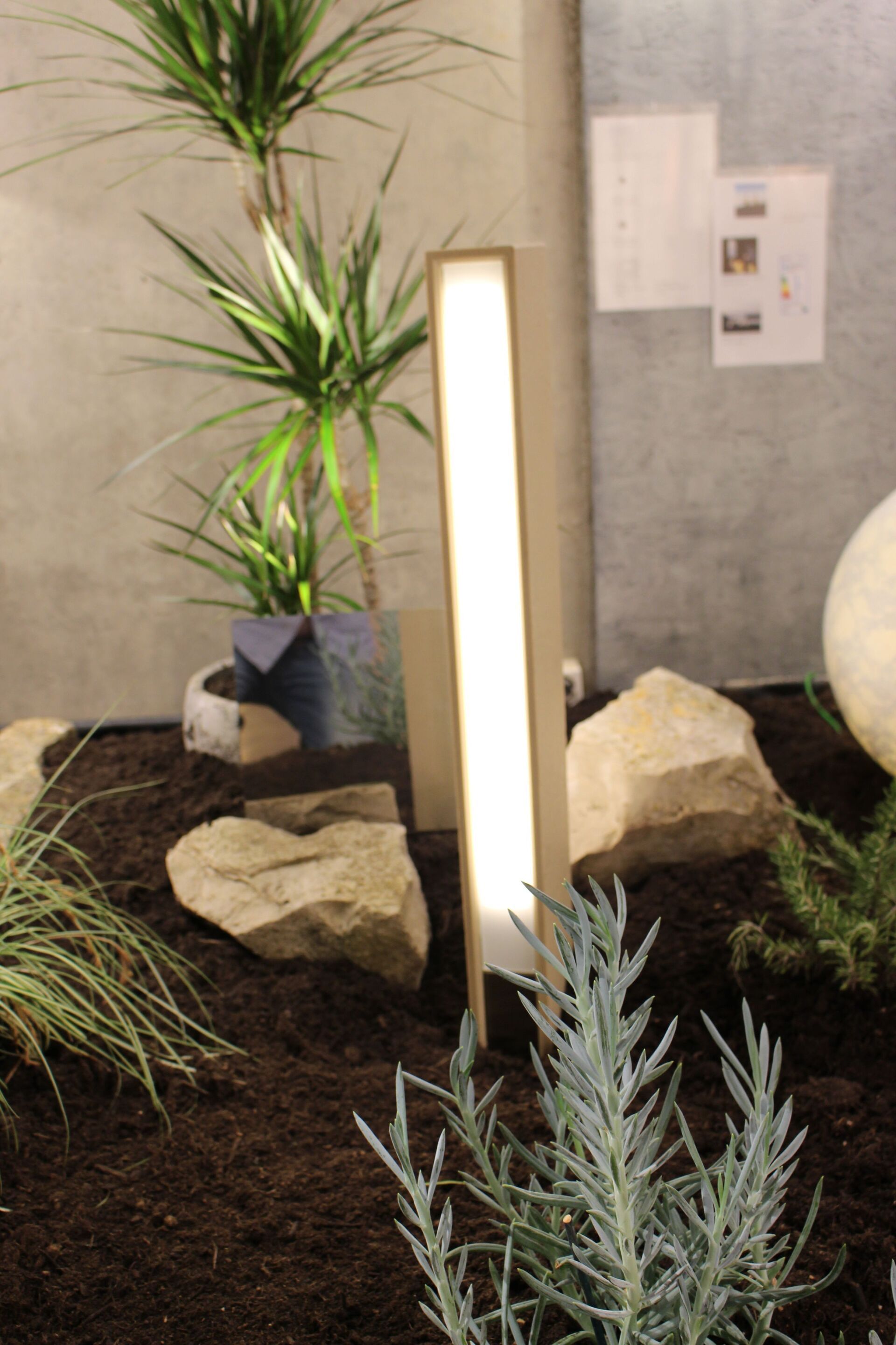 Eine Pflanze in einem Topf ist von Steinen und einem Licht umgeben