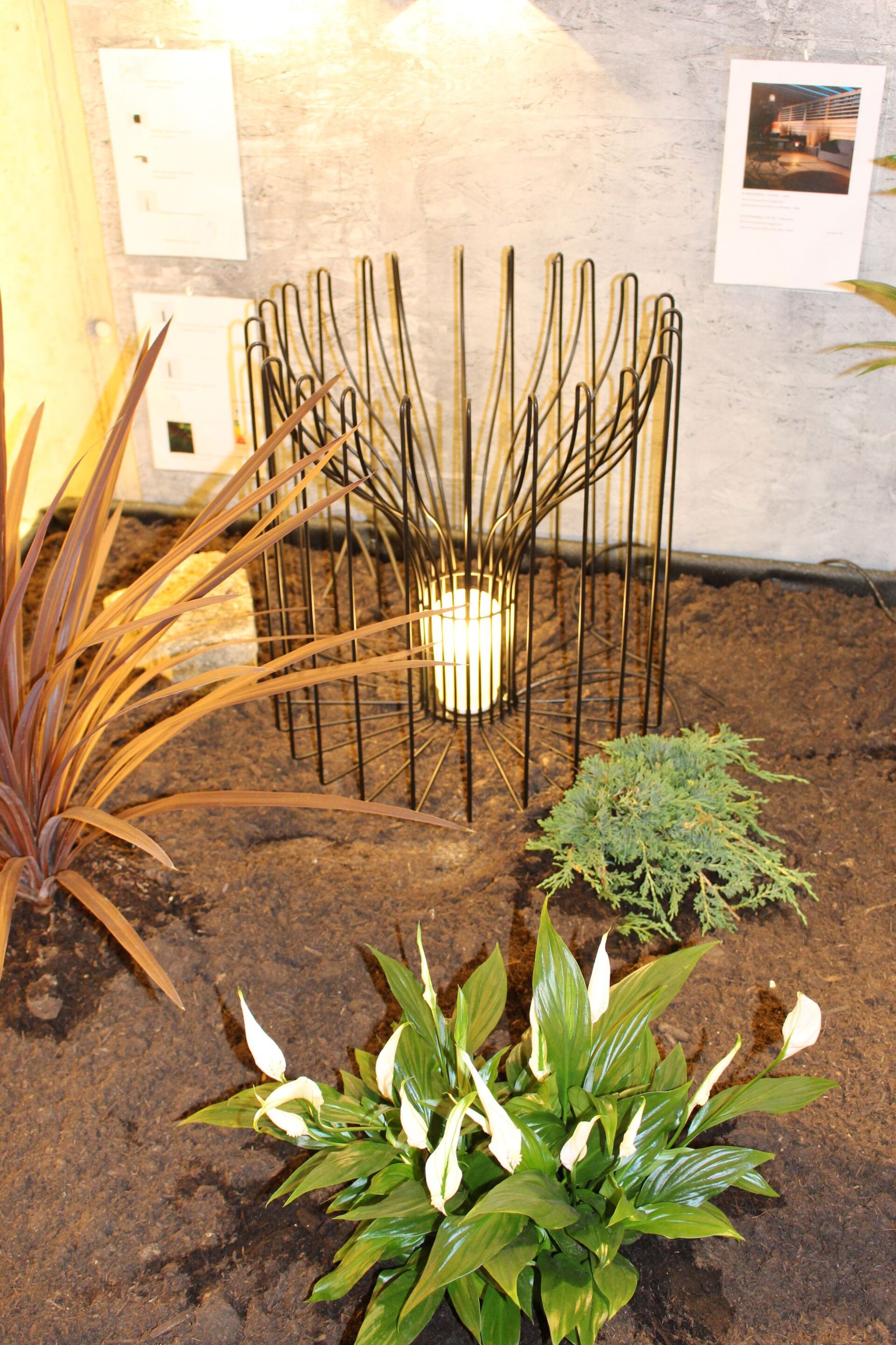 Ein Garten mit Pflanzen und einer Kerze in der Mitte