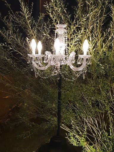 Nachts brennt vor einem Baum ein Kronleuchter.