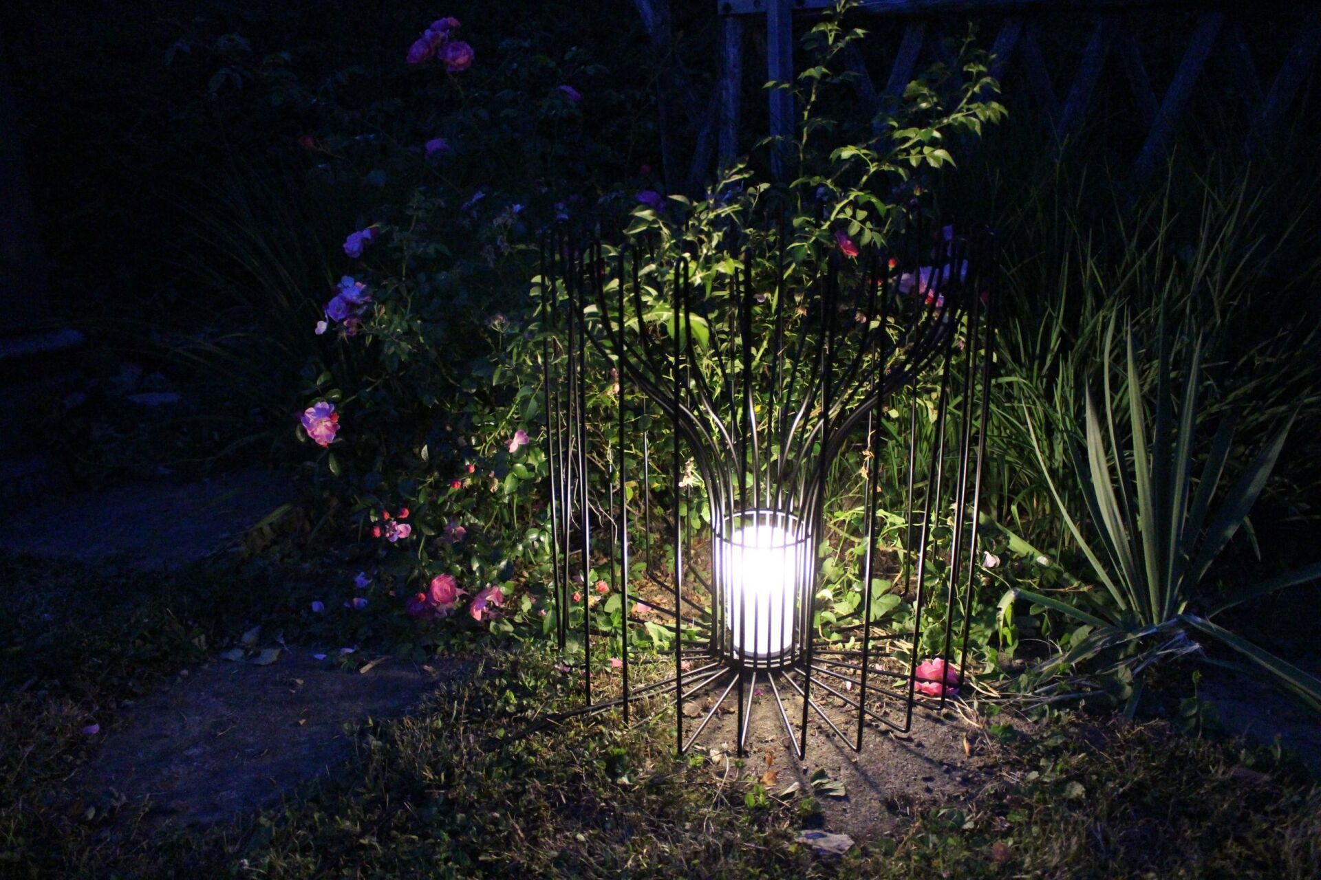 Nachts scheint ein Licht durch einen Zaun in einem Garten.