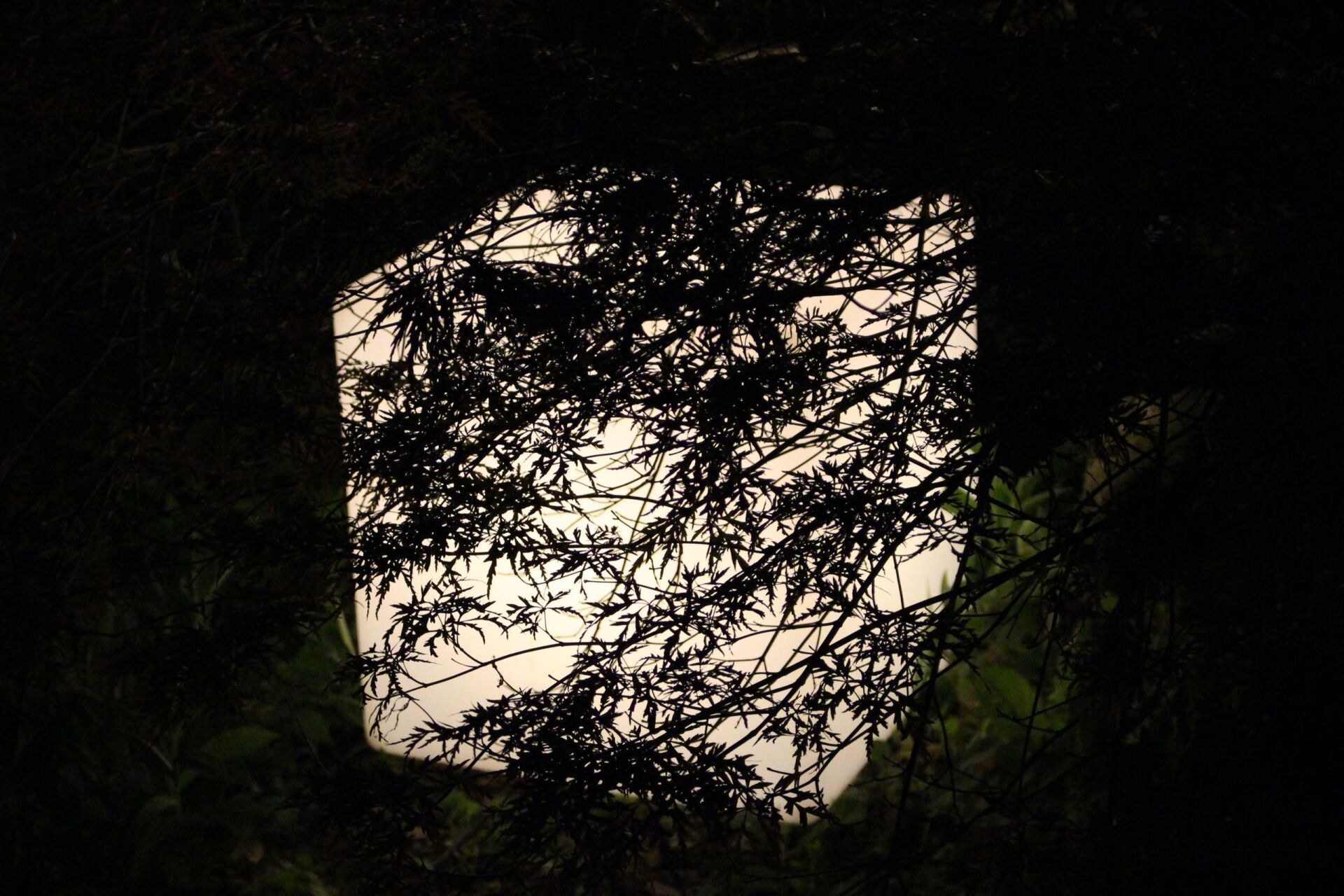 Ein Schwarzweißbild eines Würfels im Dunkeln