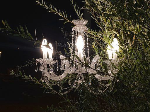 Ein Kronleuchter hängt nachts in einem Baum.