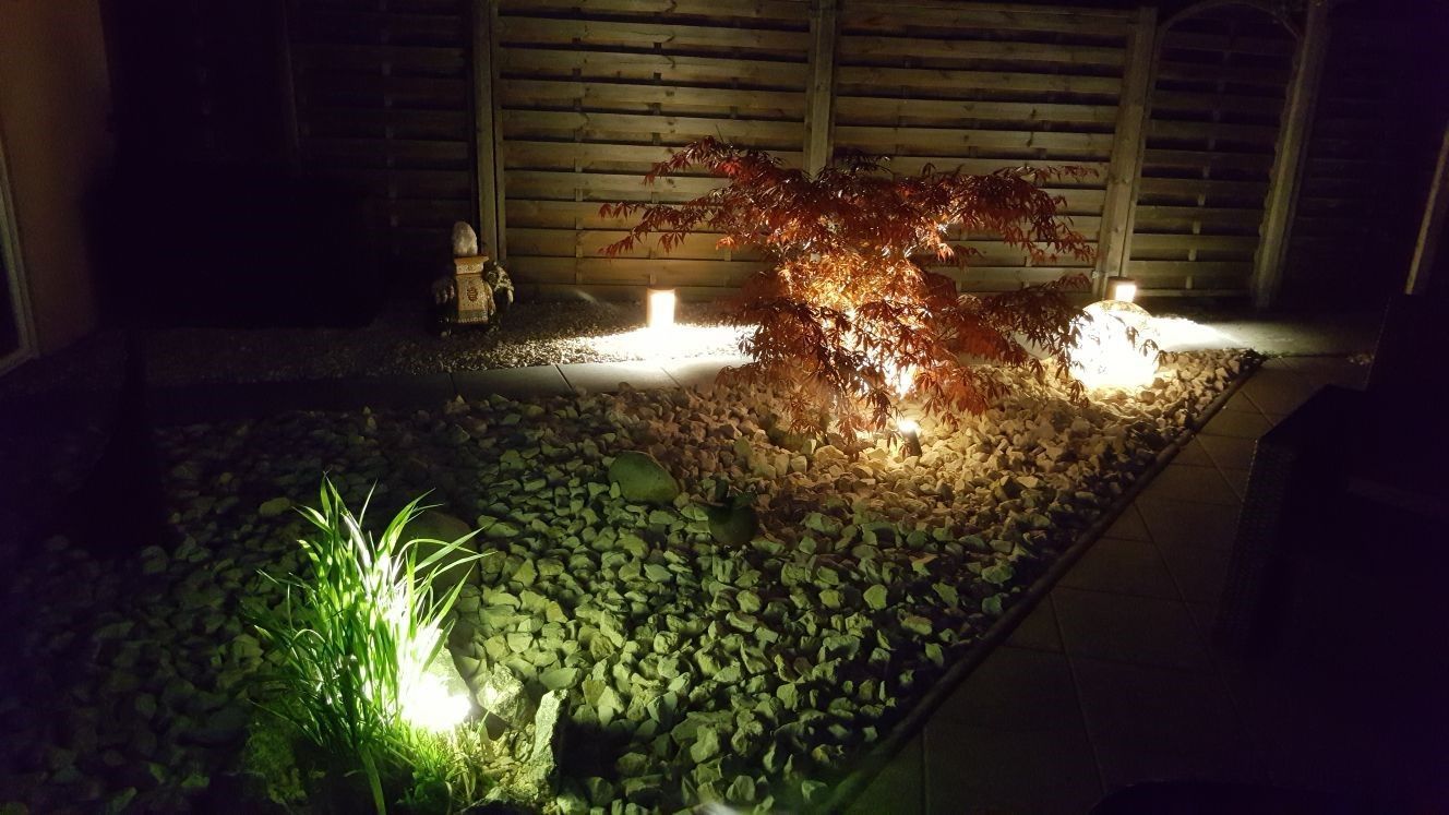 Ein Garten mit nachts beleuchteten Bäumen und Büschen.