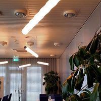 Ein Raum mit vielen Lichtern an der Decke und einer Pflanze.