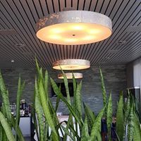 Eine Reihe von Lampen, die in einem Raum von der Decke hängen, im Vordergrund stehen Pflanzen.