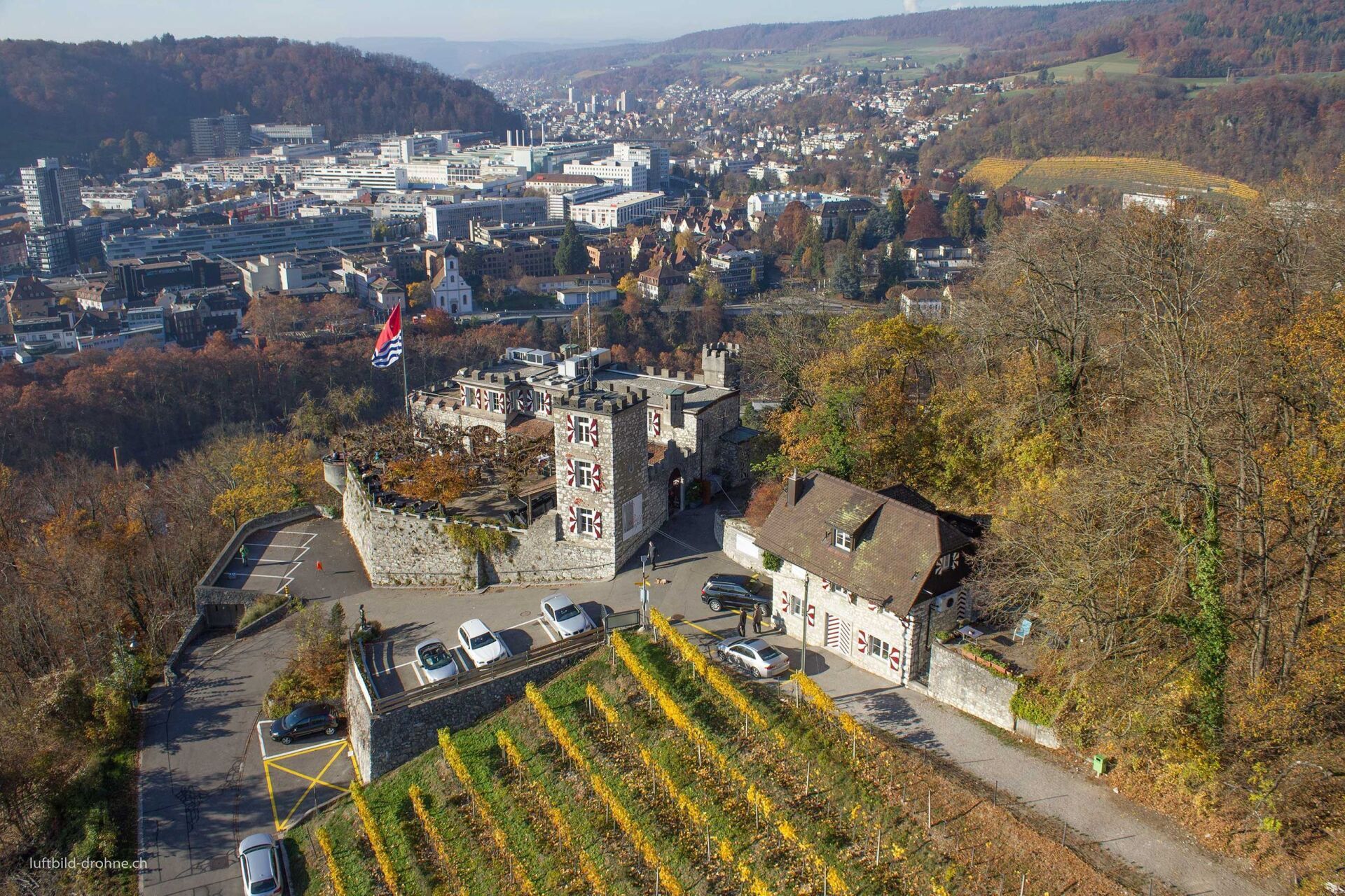 Eine Luftaufnahme einer Stadt mit einem Weinberg im Vordergrund und einem Schloss im Hintergrund.