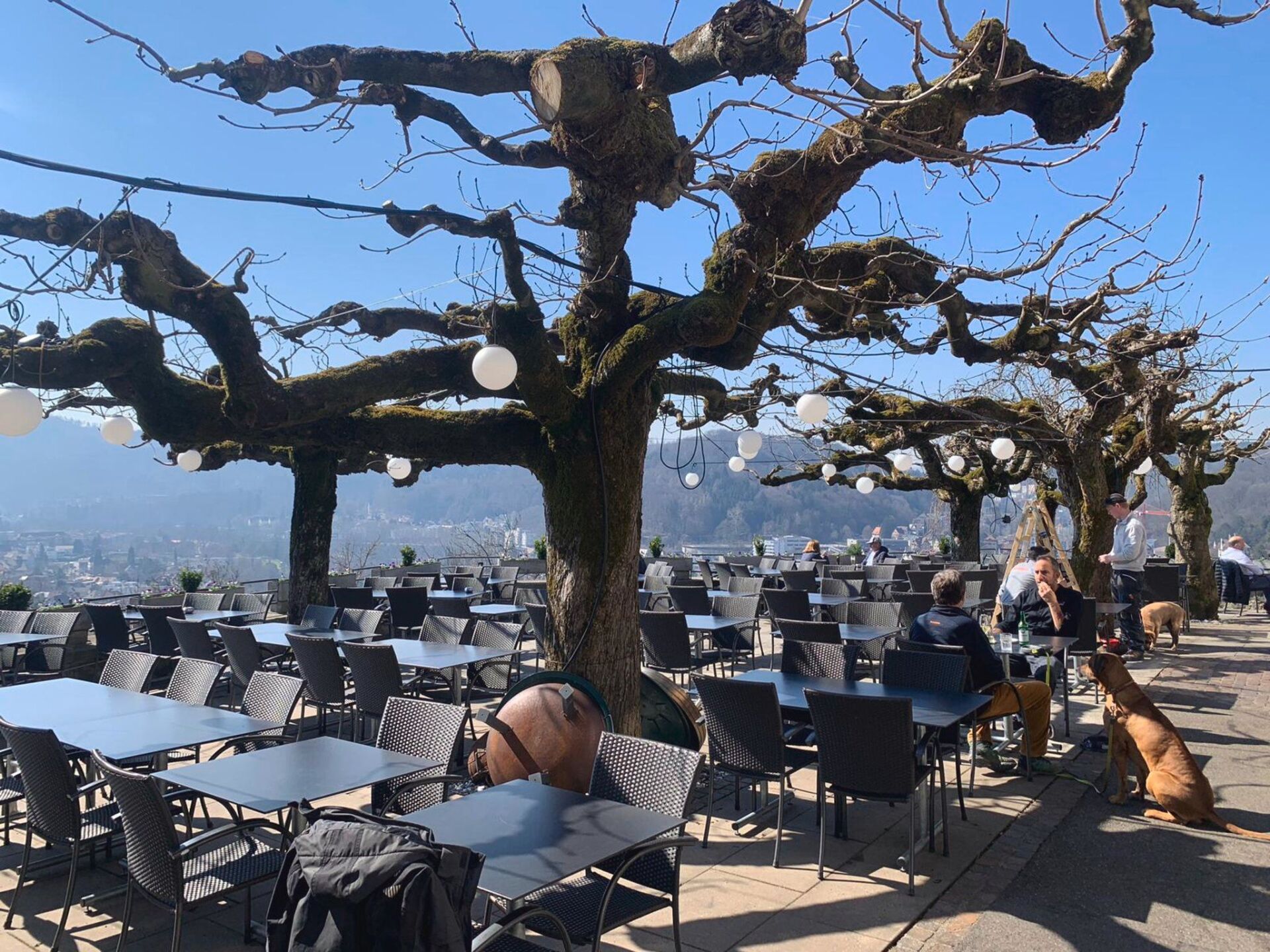 Eine Reihe von Tischen und Stühlen unter Bäumen in einem Restaurant