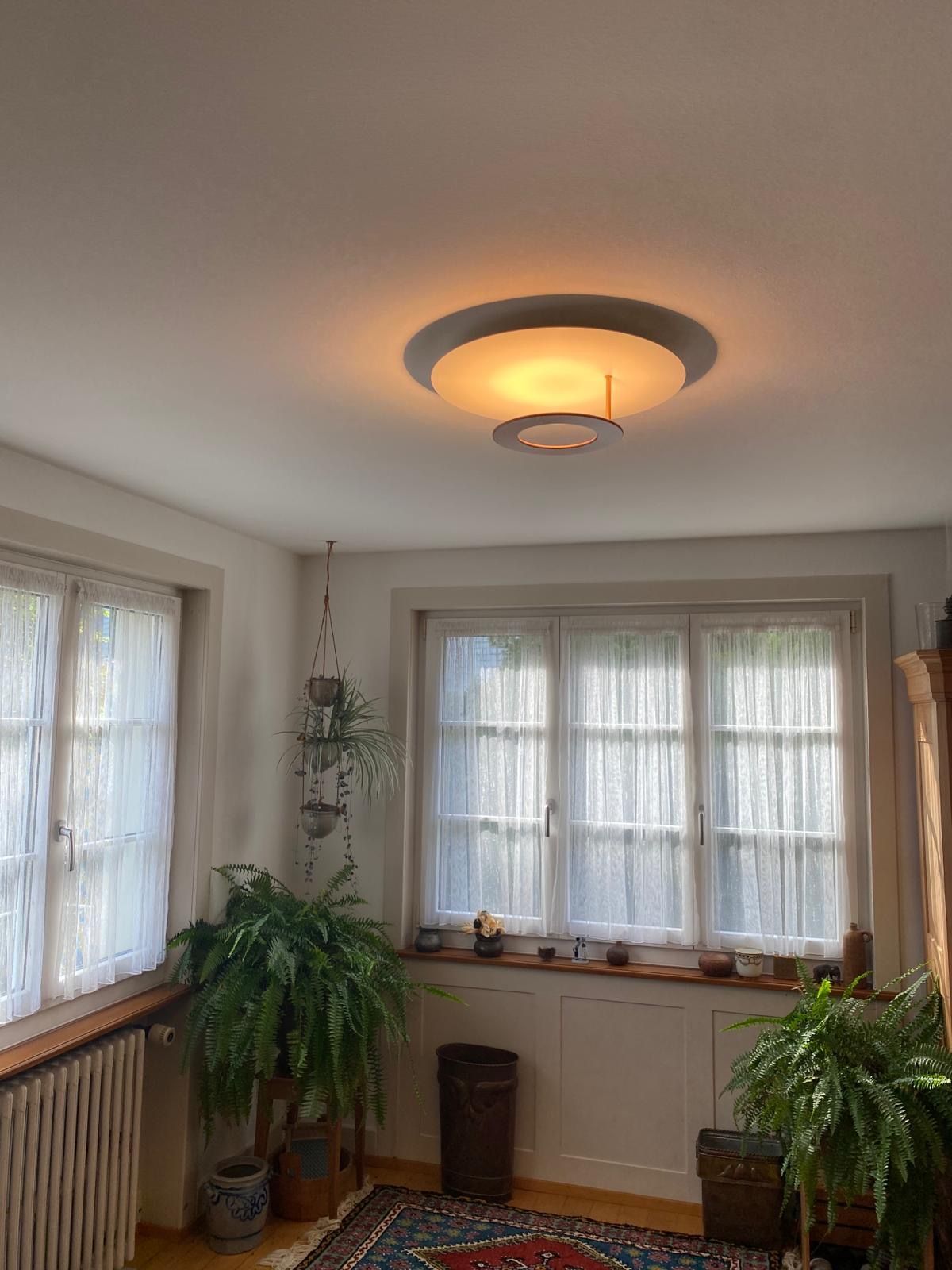 Ein Wohnzimmer mit Teppich, Pflanzen und Deckenleuchte.