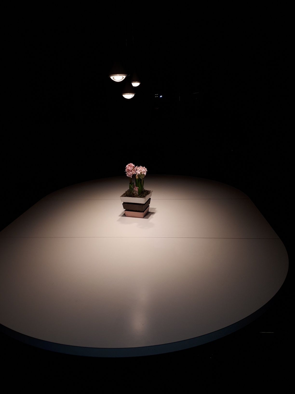 Eine Topfpflanze steht auf einem weißen Tisch in einem dunklen Raum.