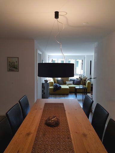 Ein Esstisch mit einer schwarzen Lampe, die von der Decke hängt