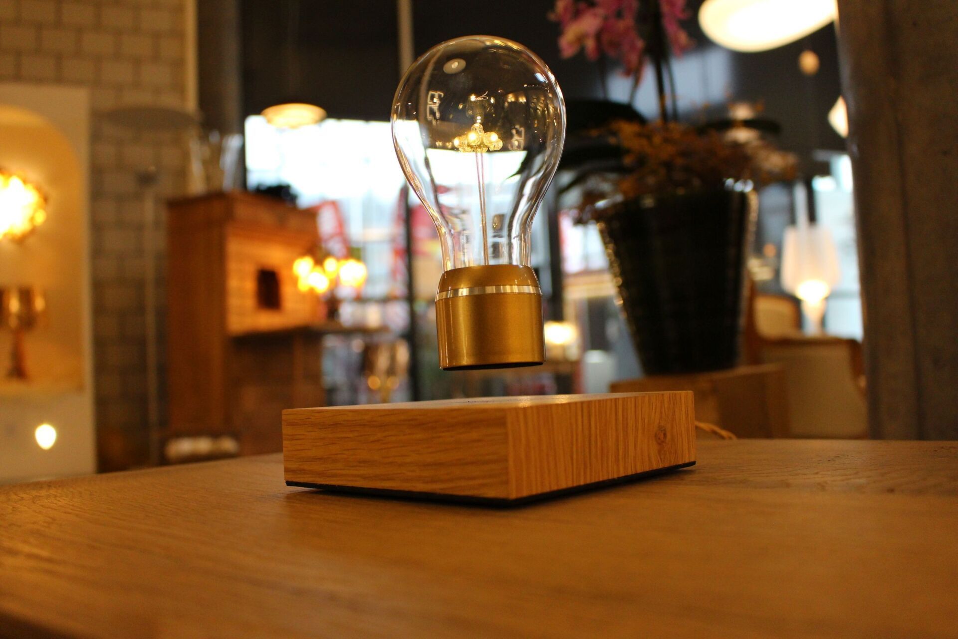 Auf einem Holztisch sitzt eine schwebende Glühbirne.