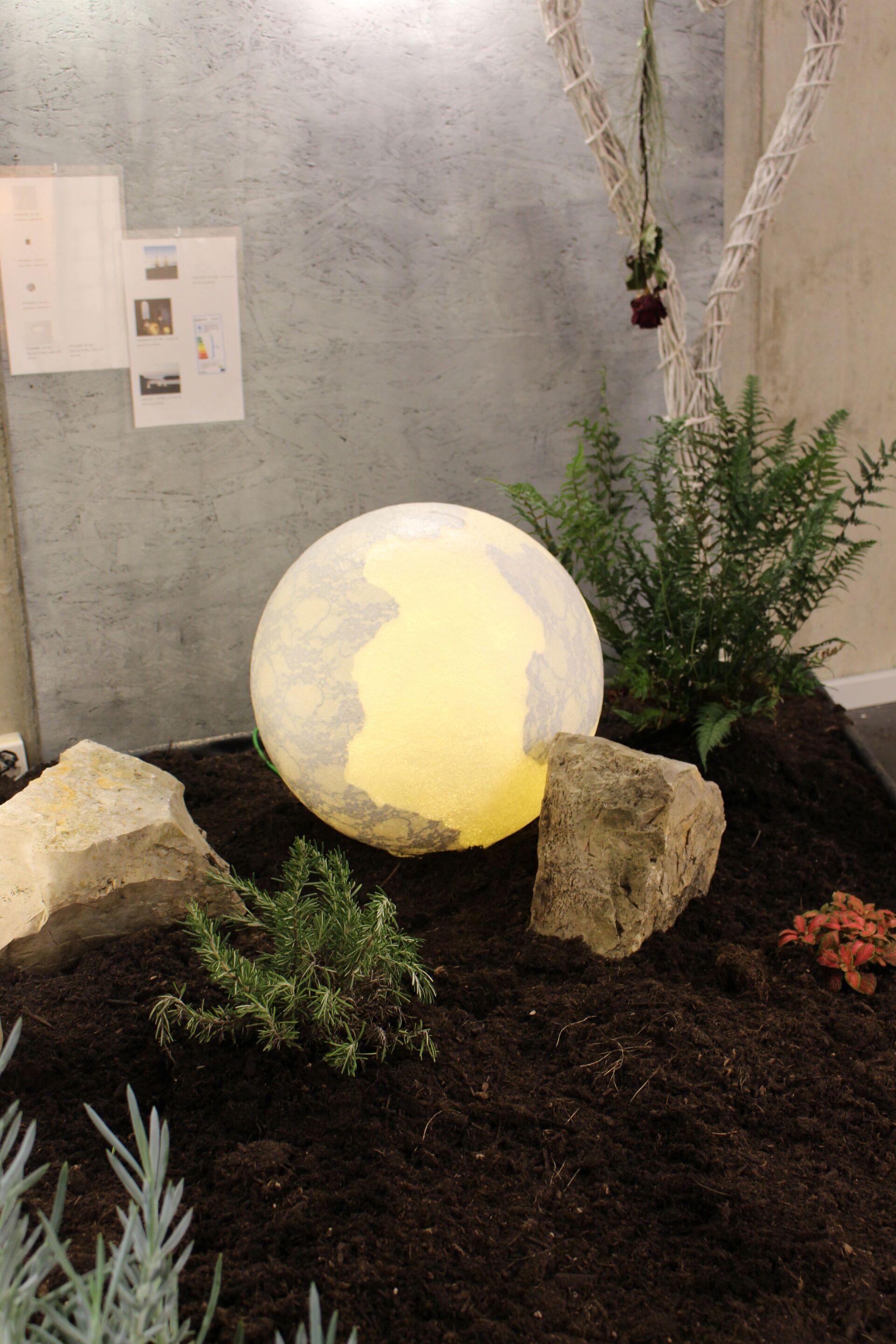 Ein großer Ball liegt inmitten eines Gartens, umgeben von Felsen und Pflanzen.