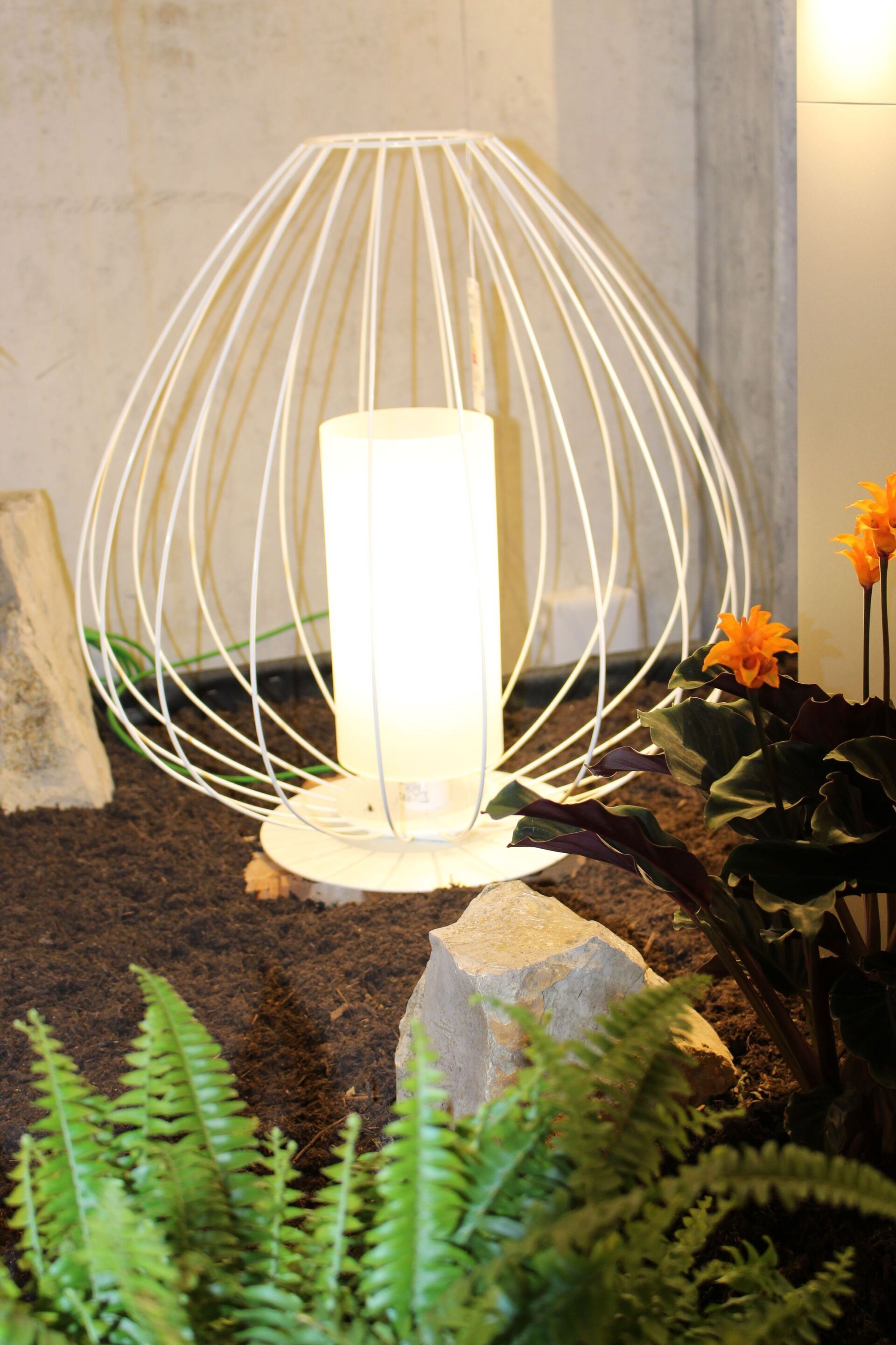 Eine weiße Lampe steht auf einem Felsen neben Farnen.