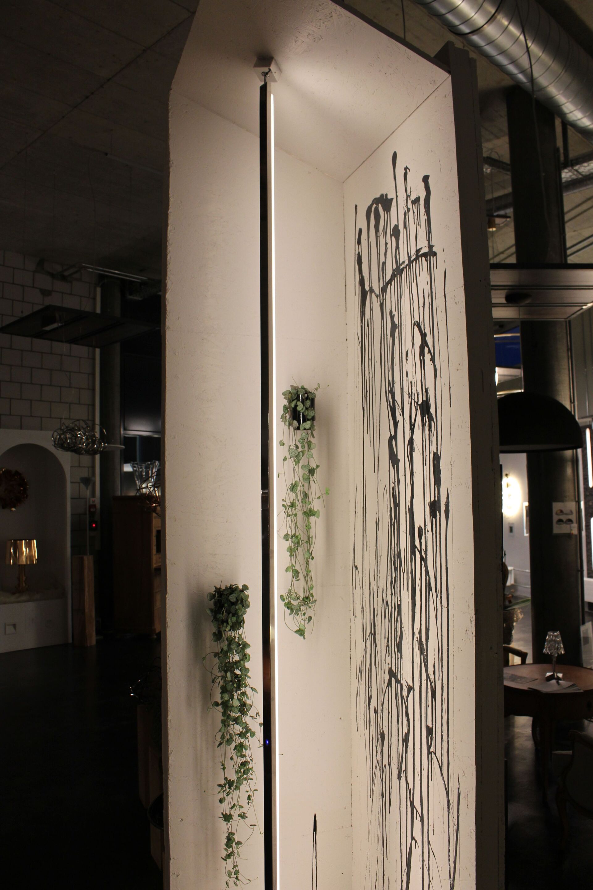 Eine weiße Wand mit daran hängenden Pflanzen