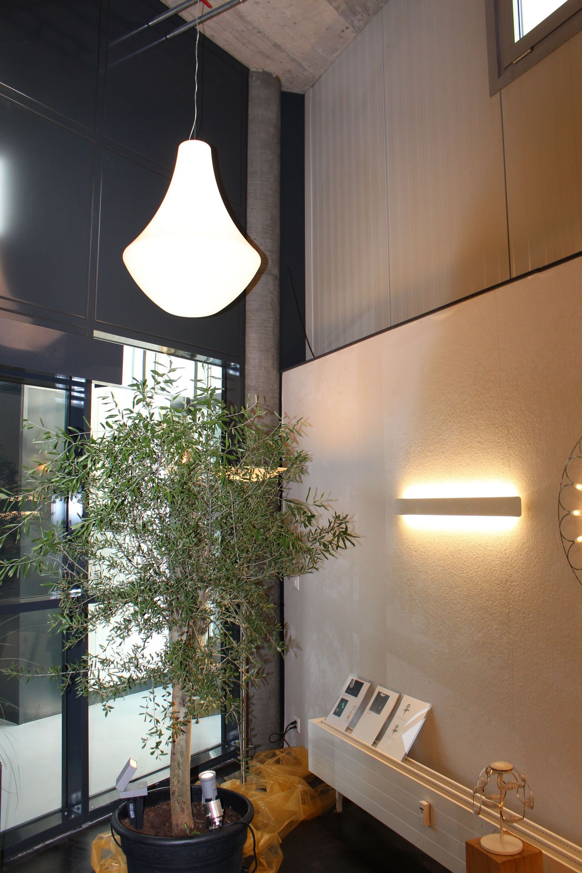 Ein Raum mit einer Topfpflanze und einem Kronleuchter, der von der Decke hängt