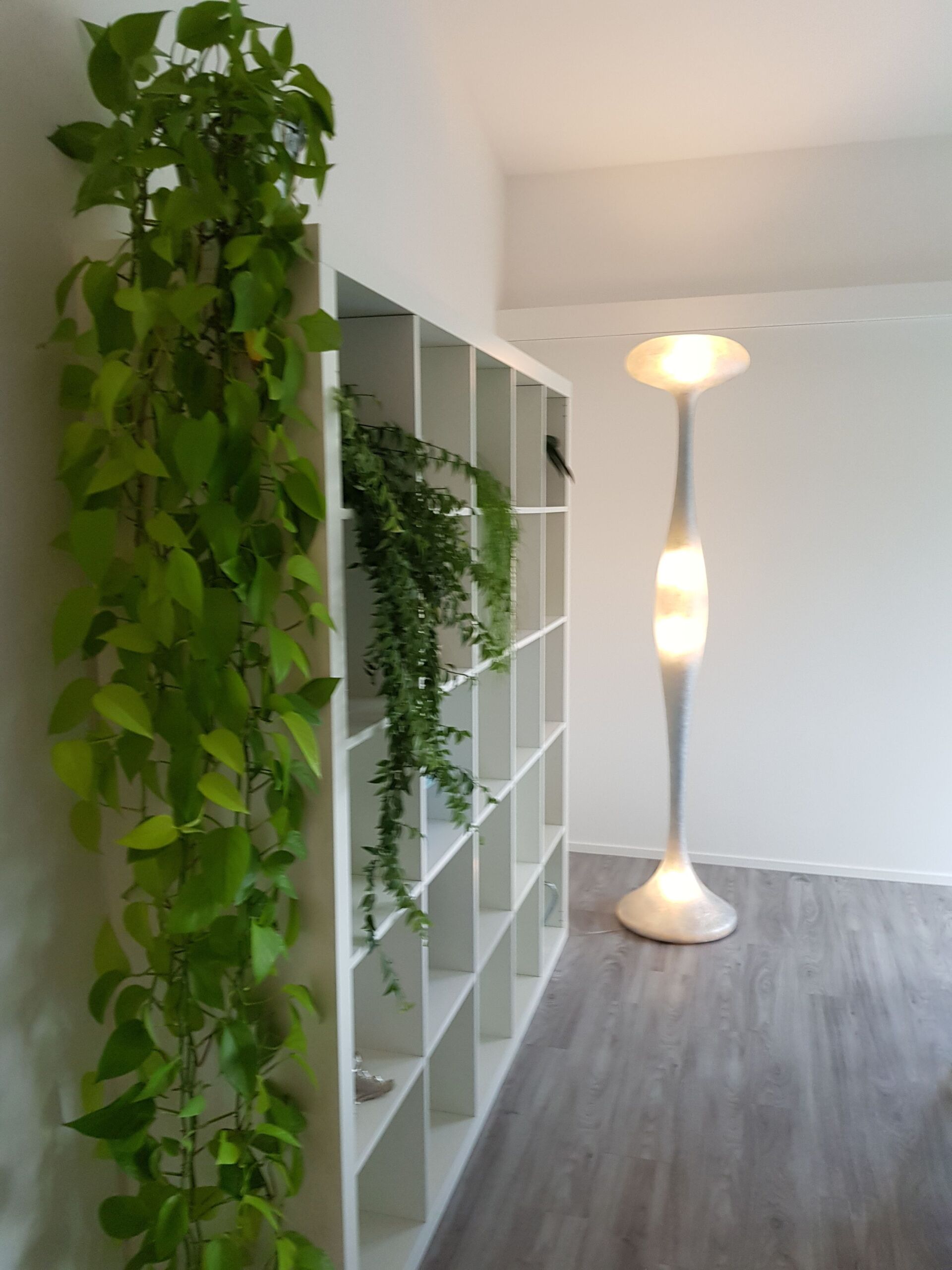 Ein Raum mit einer Lampe und einem Regal mit Pflanzen darauf