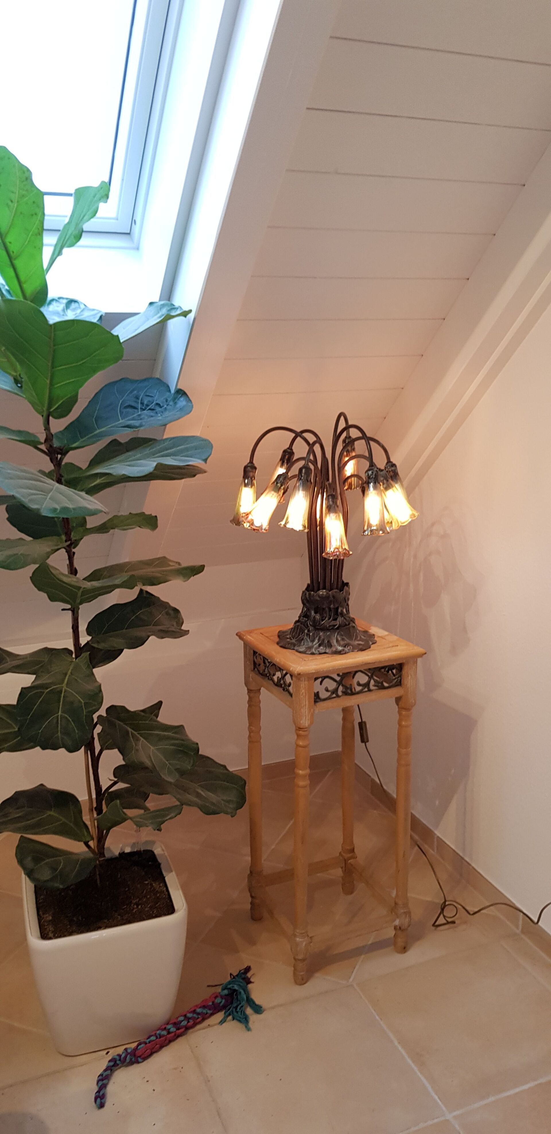 Eine Lampe steht auf einem Holztisch neben einer Topfpflanze.