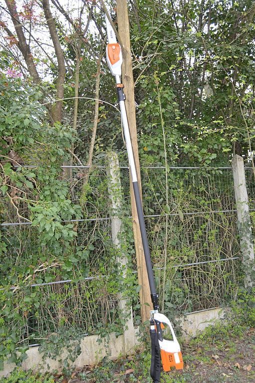 Tronçonneuse montée sur une perche