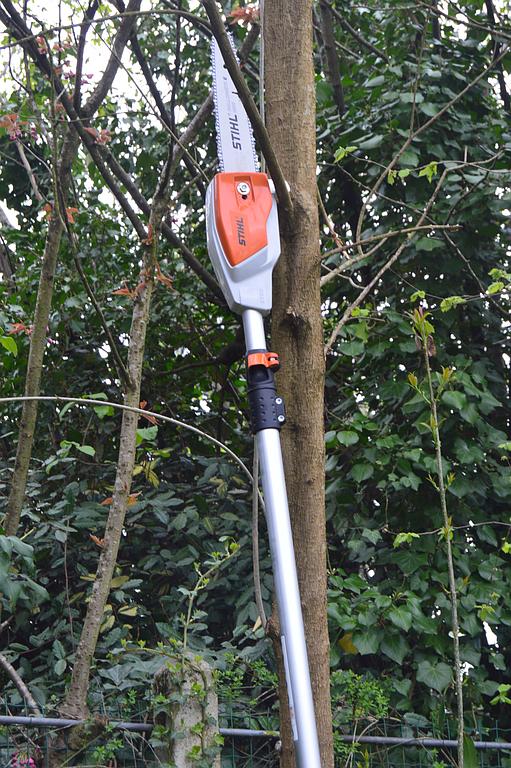 Tronçonneuse sur perche