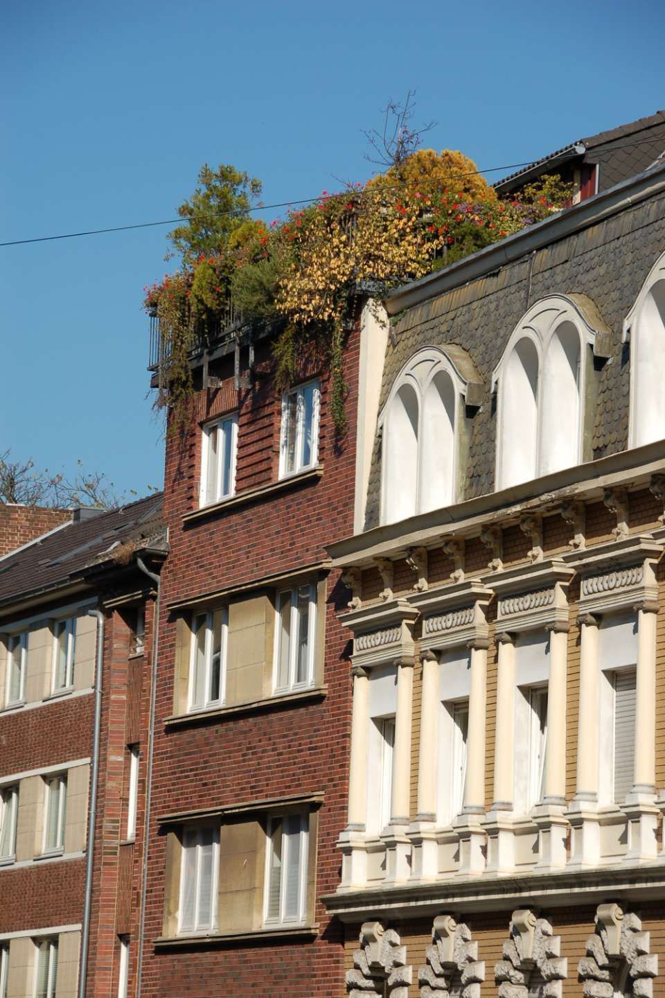 grüne Eingangstüre