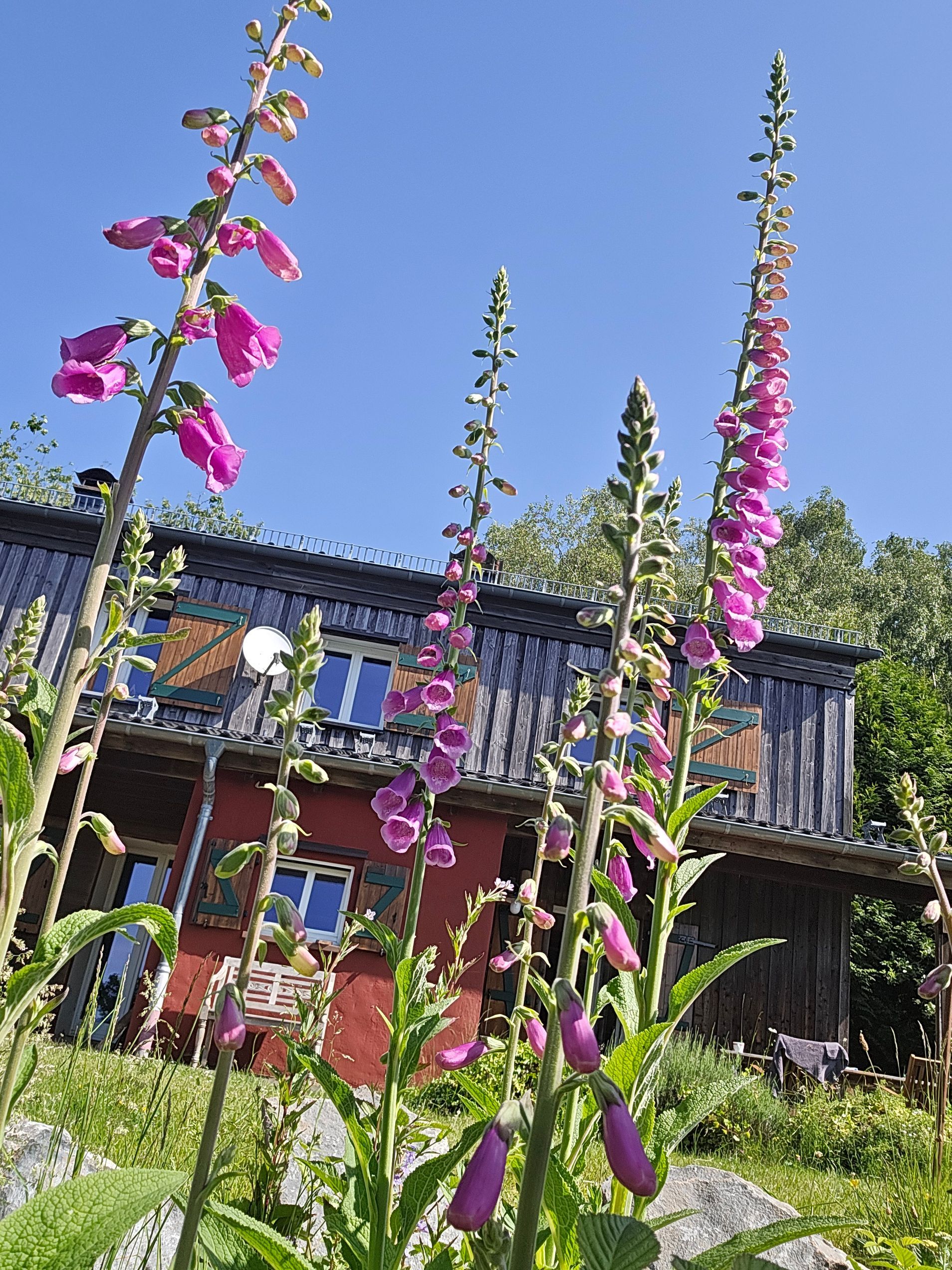 Auf der Hardt Saarland