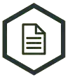 Icono de documento dentro de un hexágono, delineado en verde oscuro.