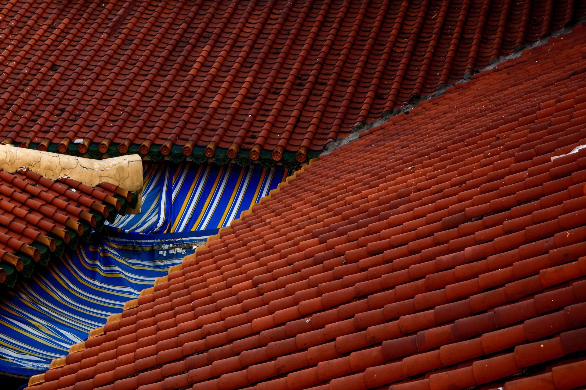 Toiture en tuiles de terre cuite rouges avec une bâche ou un auvent bleu dépassant par un interstice.