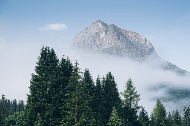 ein Berg , der aus dem Nebel steigt , umgeben von Bäumen .