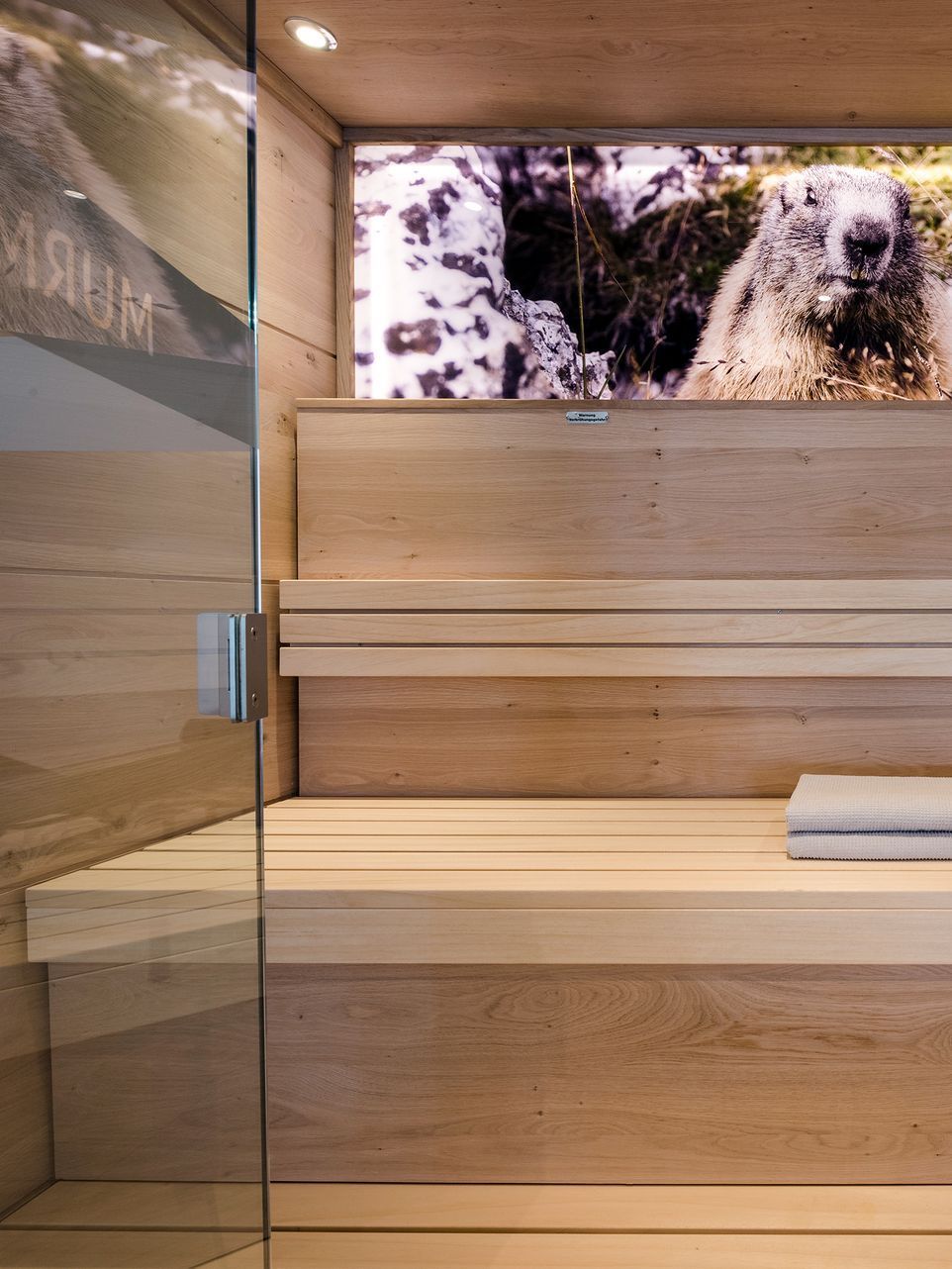 eine Holzsauna mit einem Bild eines Murmeltieres darauf .