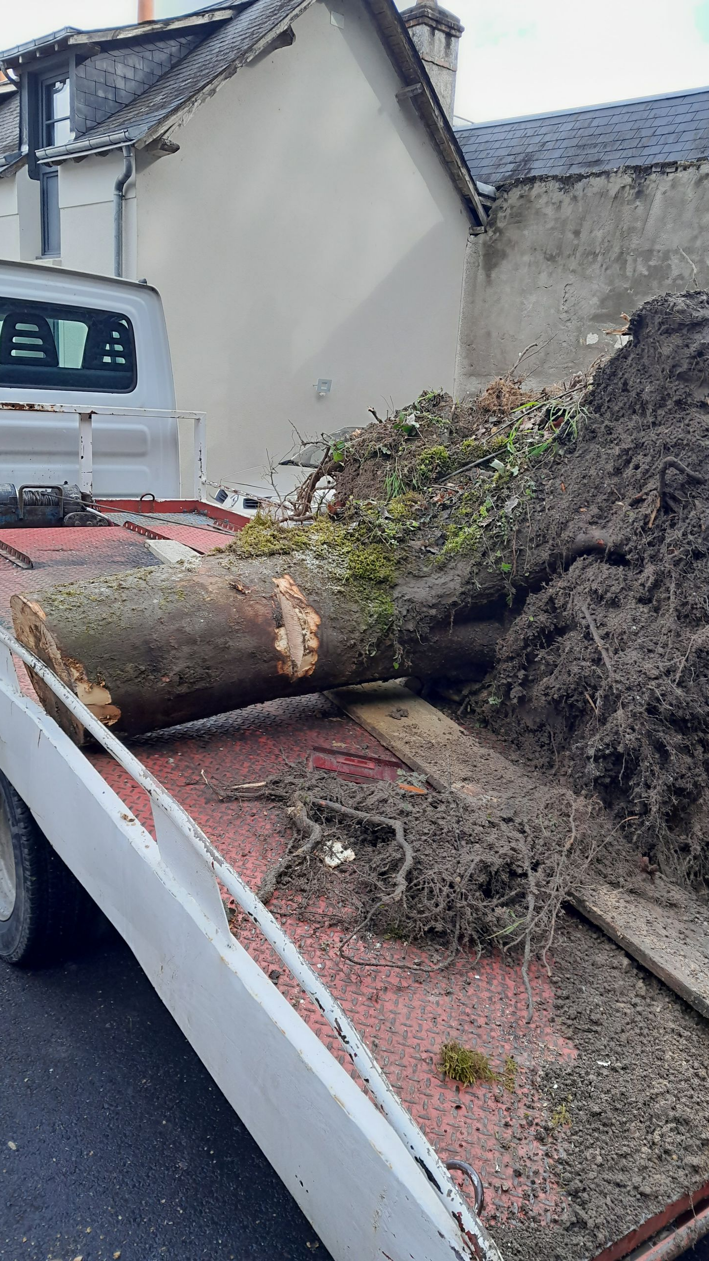 La benne d'un camion blanc, chargée d'une grosse bûche et de débris, est garée devant un bâtiment.