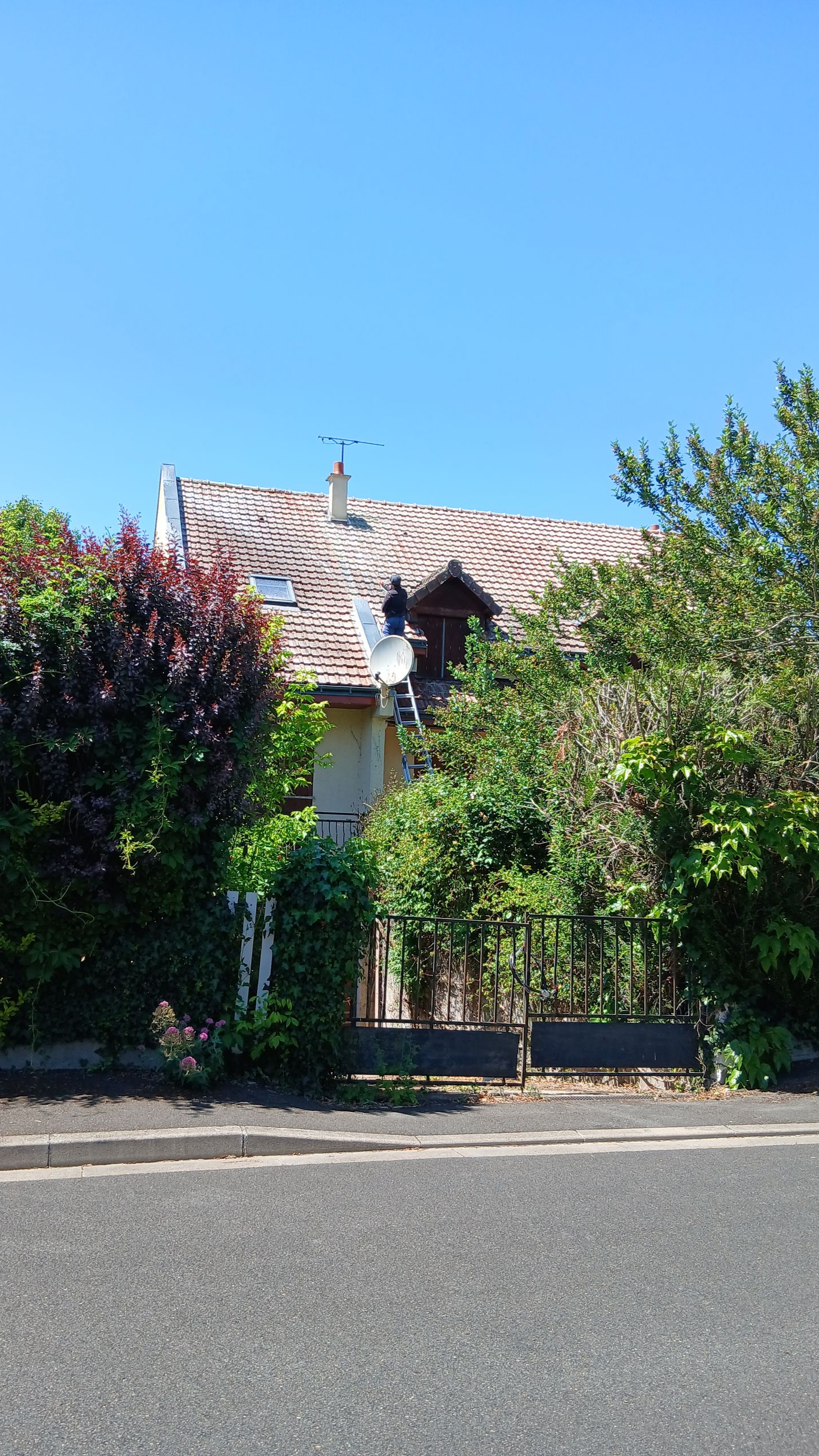 Maison au toit à motifs, lucarne et antenne, entourée de buissons vert et rouge, sous un ciel bleu.