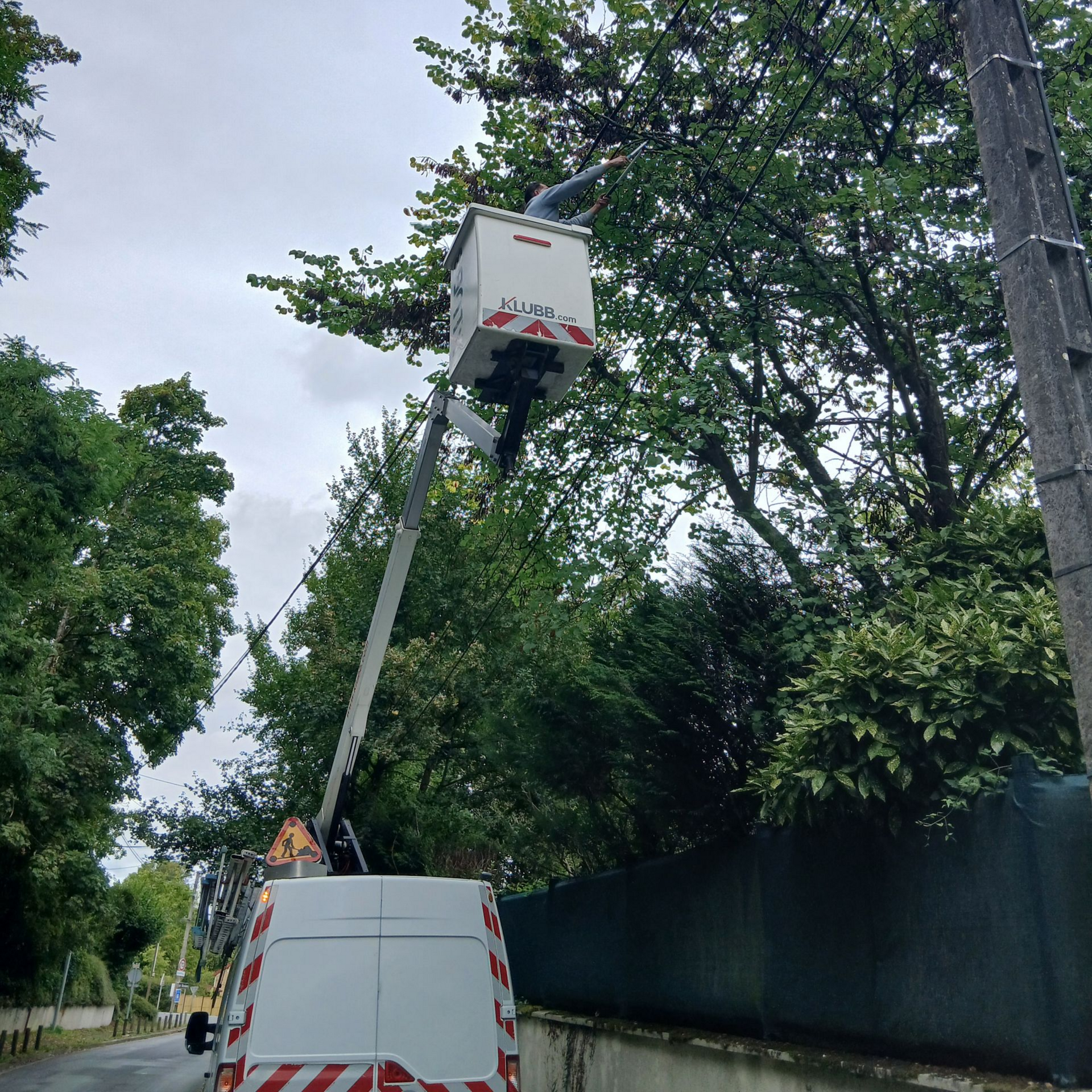 Une nacelle élévatrice élague des branches d'arbres près des lignes électriques par temps nuageux.