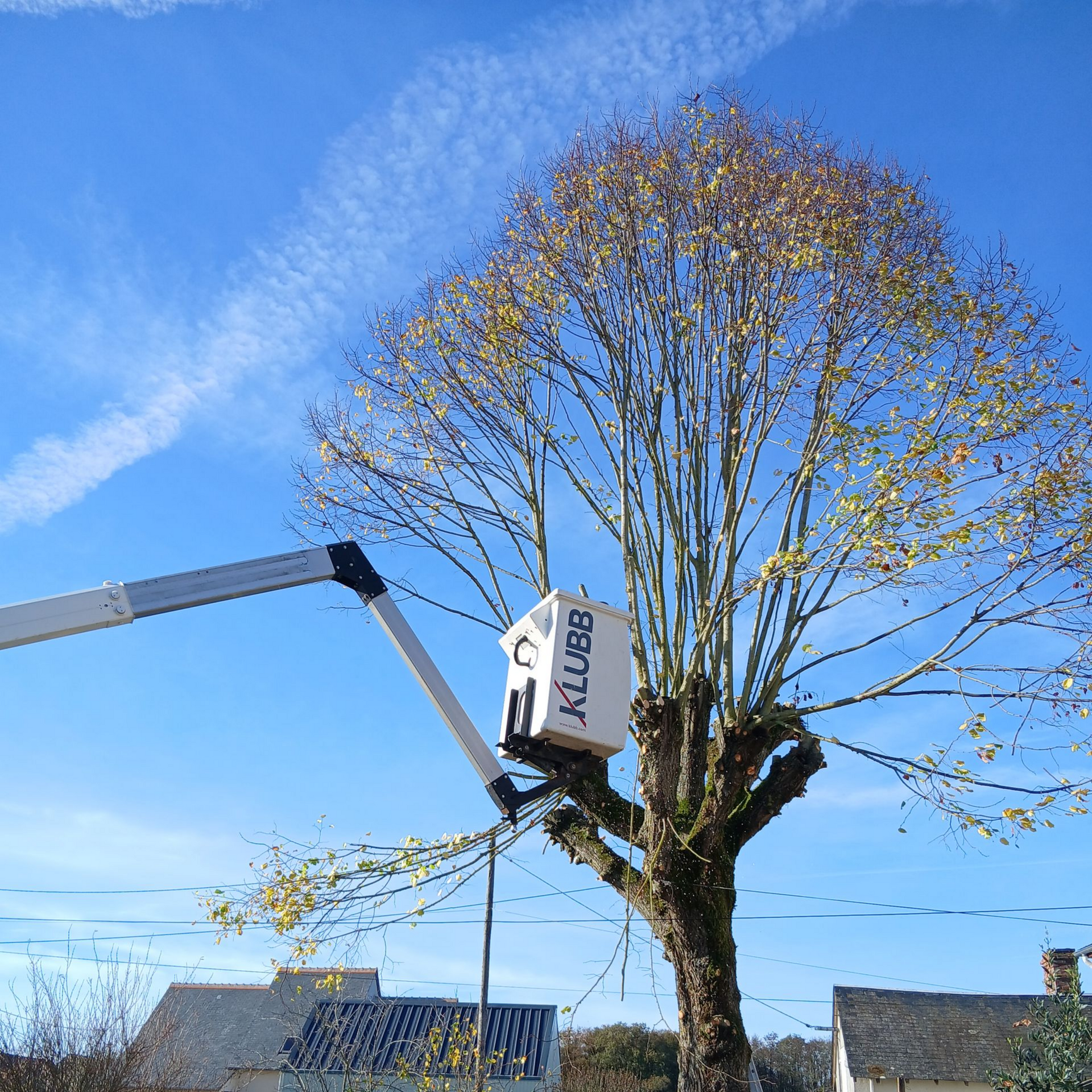 Une nacelle élévatrice élague un arbre sur fond de ciel bleu. Des bâtiments sont visibles en arrière-plan.