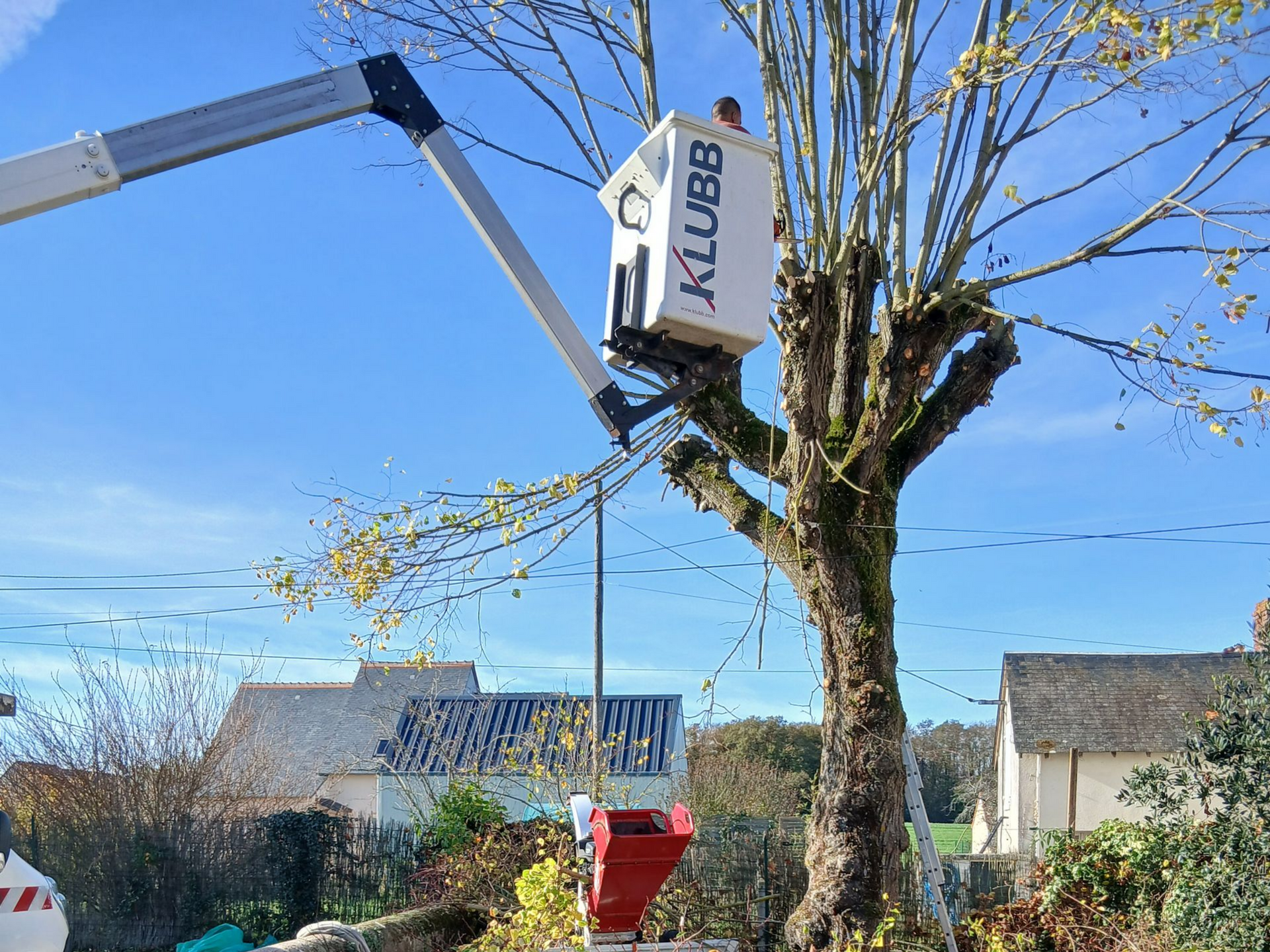 Une personne, à bord d'une nacelle élévatrice KLUBB, élague un arbre par une journée ensoleillée. Des maisons se dressent en arrière-plan.