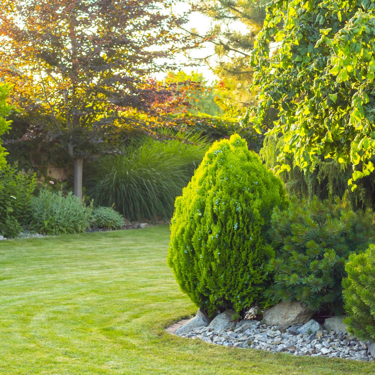 Jardin luxuriant et verdoyant avec pelouse impeccablement entretenue, arbres et arbustes baignés de soleil.