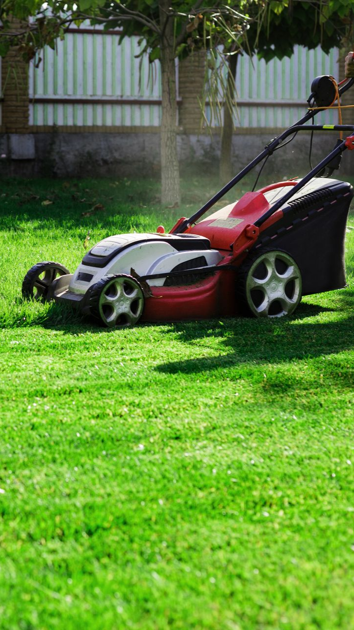 Tondeuse à gazon rouge et blanc sur une pelouse verte, près d'une clôture.