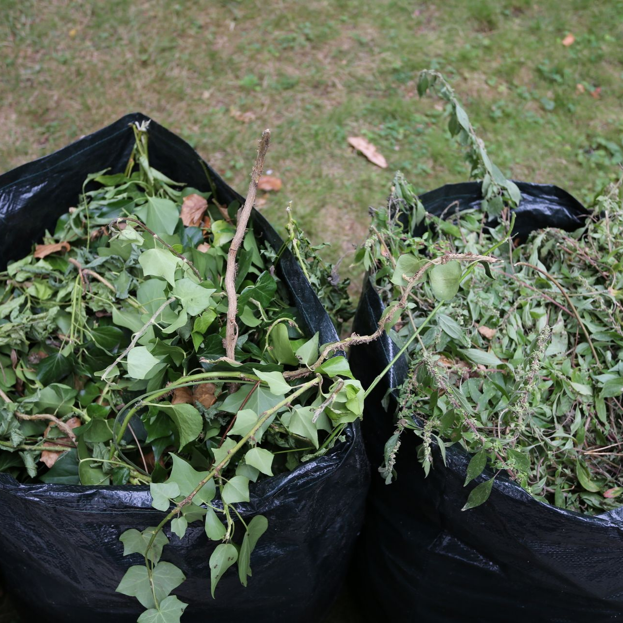 Deux sacs noirs à déchets verts, remplis de feuilles et de branches, sont posés sur l'herbe.