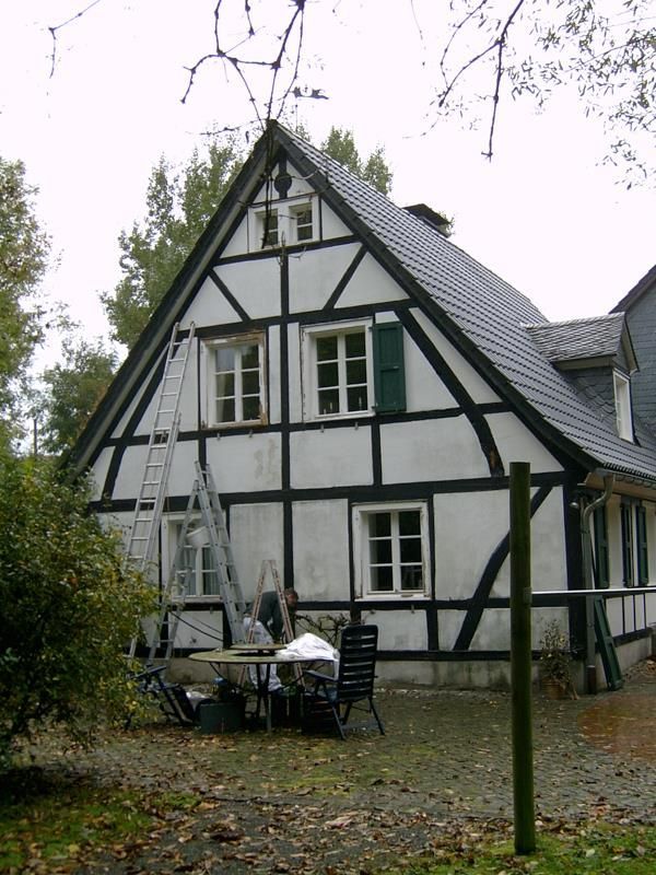 Ein schwarz-weißes Haus mit einer Leiter davor