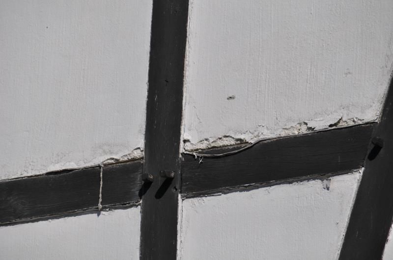 Ein Schwarzweißfoto eines Zauns mit einer Spinne darauf.