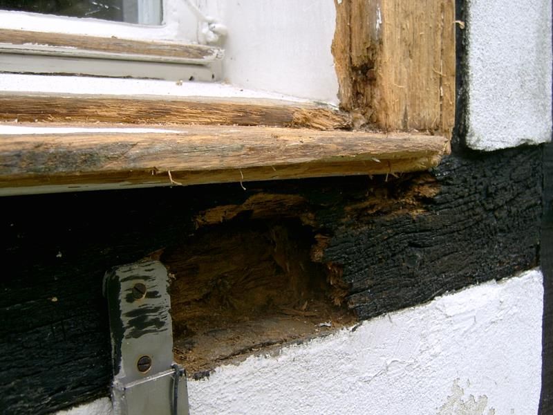 Eine Fensterbank, die von Termiten beschädigt wurde