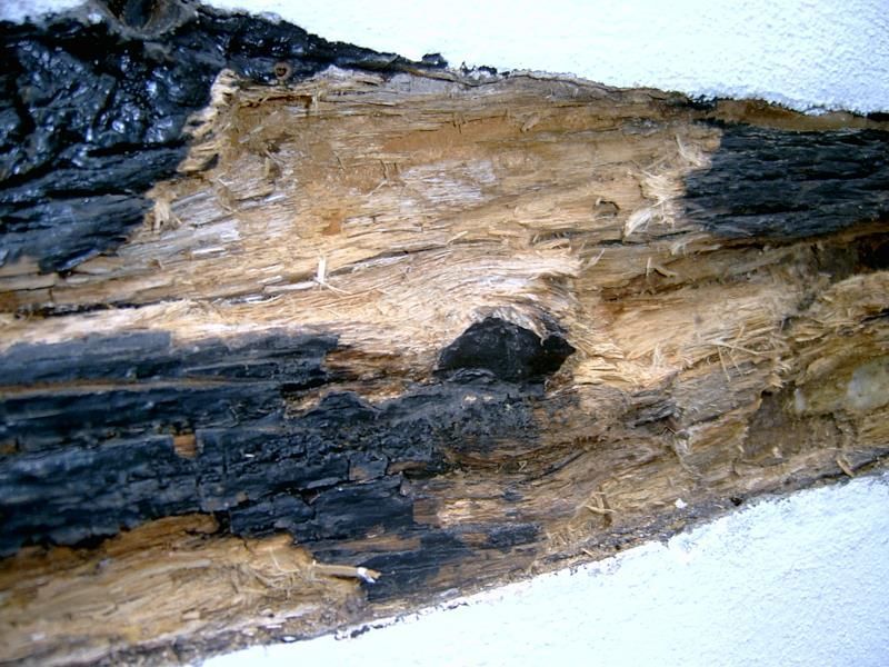 Eine Nahaufnahme von einem Stück Holz mit einem Loch darin