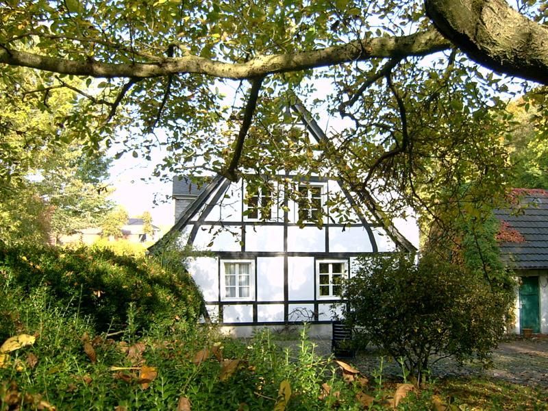 Ein weiß-schwarzes Haus mit einem Baum davor