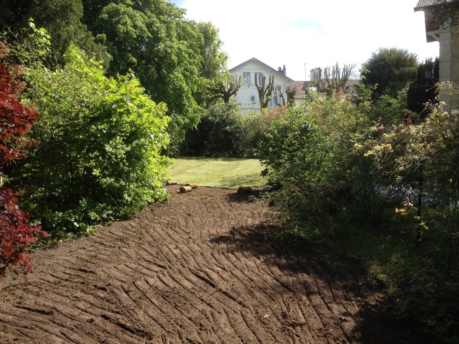 Création de plantations