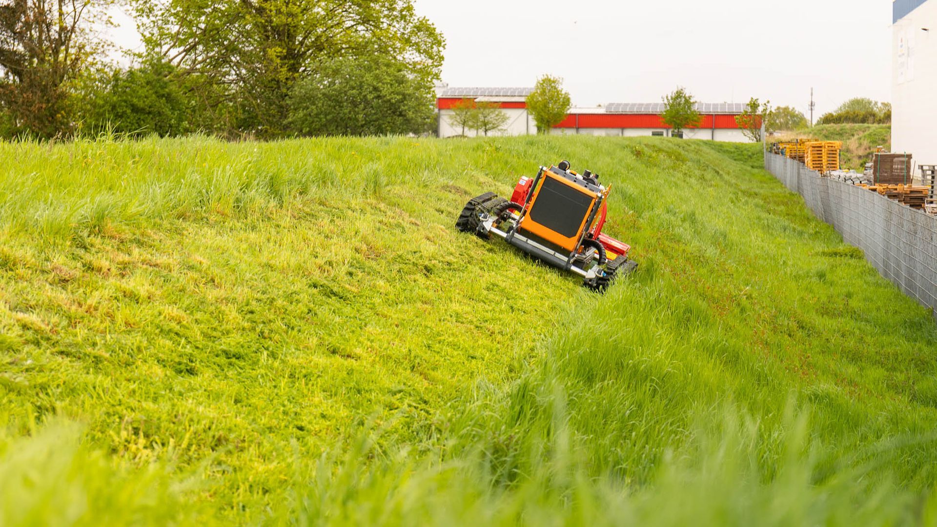 Ein Roboter-Rasenmäher schneidet Gras auf einem Hügel.