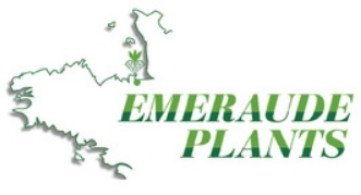 Emeraude
