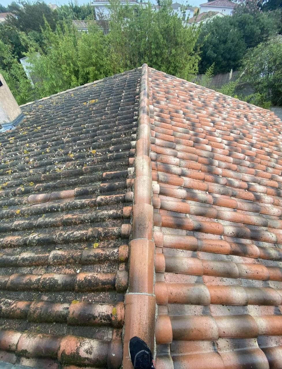 Tuiles avant et après nettoyage. Le côté gauche est recouvert de mousse ; le côté droit est propre.