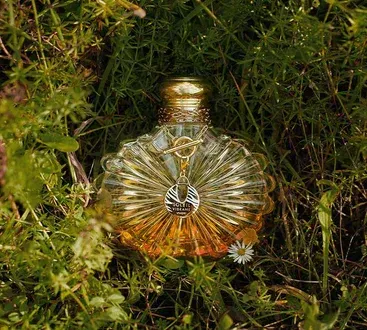 Parfum soleil