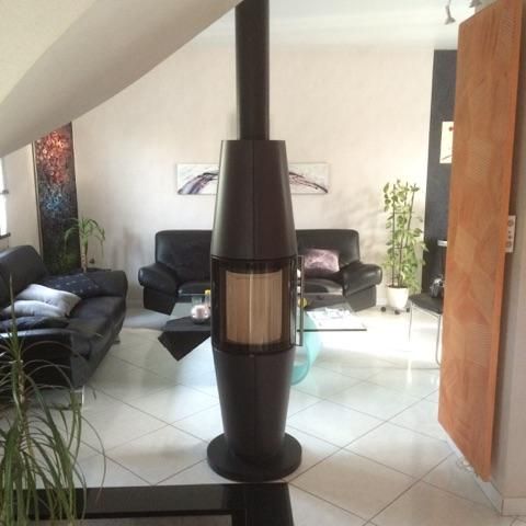 Salon avec un poêle à bois noir central, des canapés en cuir, des plantes en pot et une porte en bois ouverte.